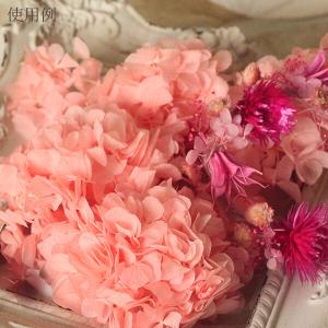 プリザーブドフラワー 花材 即日出荷 ソフトあ...の詳細画像5