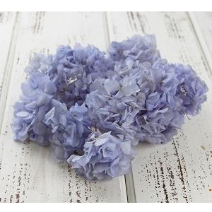 プリザーブドフラワー 花材 即日出荷 ソフトあじさいアナベル