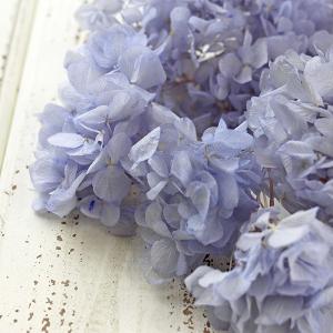 プリザーブドフラワー 花材 即日出荷 ソフトあ...の詳細画像1