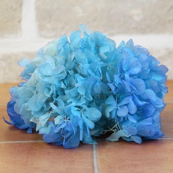 【P5倍中 12/02 09:59迄】 プリザーブドフラワー 花材 即日出荷 ソフトあじさい彩 ブル...