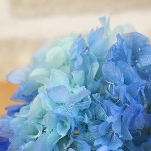 プリザーブドフラワー 花材 即日出荷 ソフトあ...の詳細画像1