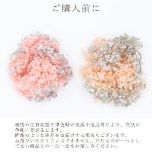 プリザーブドフラワー 花材 即日出荷 ソフトあ...の詳細画像4