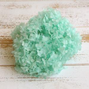 プリザーブドフラワー 花材 即日出荷 ソフトあじ...の商品画像