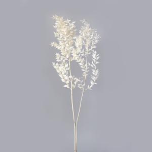 プリザーブドフラワー 花材 即日出荷 ソフトラス...の商品画像