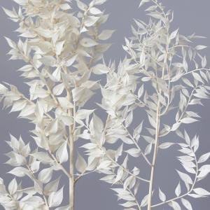 プリザーブドフラワー 花材 即日出荷 ソフトラ...の詳細画像1