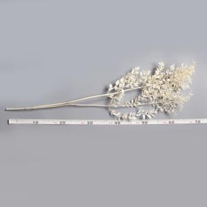 プリザーブドフラワー 花材 即日出荷 ソフトラ...の詳細画像2