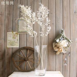 プリザーブドフラワー 花材 即日出荷 ソフトラ...の詳細画像4