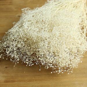 プリザーブドフラワー 花材 即日出荷 ソフトミ...の詳細画像1