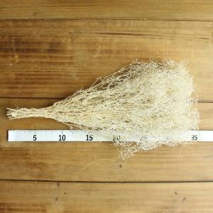 プリザーブドフラワー 花材 即日出荷 ソフトミ...の詳細画像2