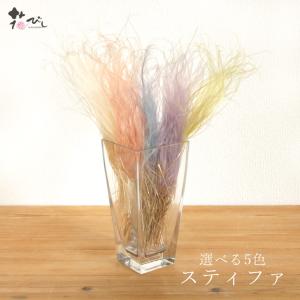 《ドライフラワー 花材》出荷東花 スティファ(65099)