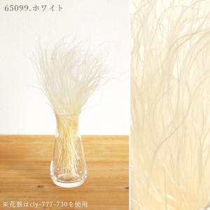 ドライフラワー 花材 即日出荷 スティファ フ...の詳細画像2