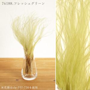 ドライフラワー 花材 即日出荷 スティファ フ...の詳細画像4