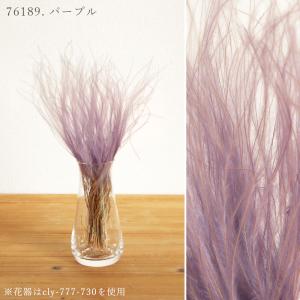 ドライフラワー 花材 即日出荷 スティファ フ...の詳細画像5