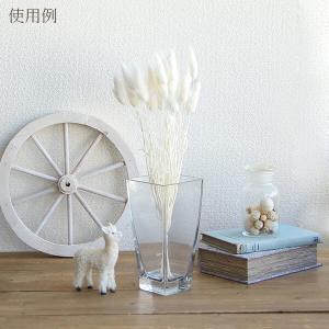 ドライフラワー 花材 即日出荷 ラグラス サラ...の詳細画像4