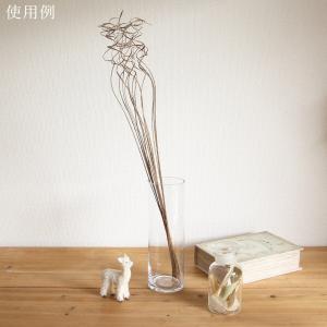 ドライフラワー 花材 即日出荷 カーリーティン...の詳細画像3
