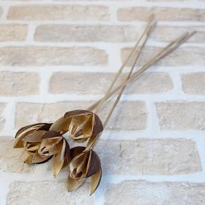 ドライフラワー 花材 即日出荷 キングプロテア・大 ナチュラル (在庫