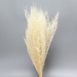 ドライフラワー 花材 即日出荷 コキア束 オフホワイト 枝 白 ほうき草 ドライフラワー インテリア ディスプレイ スワッグ ウェルカムツリー ブーケ 東花