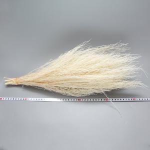 ドライフラワー 花材 即日出荷 コキア束 サラ...の詳細画像2