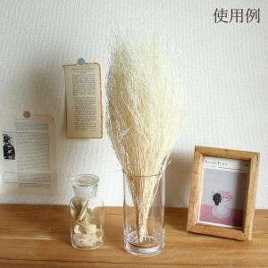 ドライフラワー 花材 即日出荷 コキア束 サラ...の詳細画像3