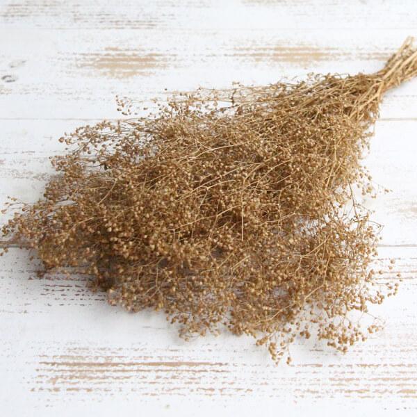 プリザーブドフラワー 花材 即日出荷 ソフトミニカスミ ピンクベージュ かすみ カスミ カスミ草 か...