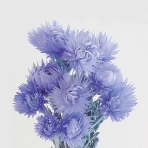 プリザーブドフラワー 花材 即日出荷 スターチス イエロー スワッグ