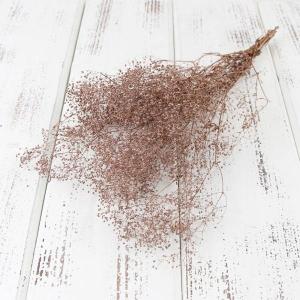 《プリザーブドフラワー 花材》出荷東花 ソフトミニカスミ