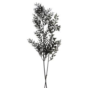 プリザーブドフラワー 花材 即日出荷 ソフトラスカス(75775) ドライフラワー リーフ 葉 プリザーブドフラワー スワッグ ブーケ 花束 リース アレンジ 東花