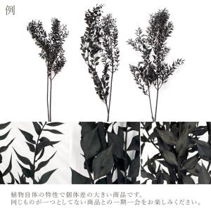 プリザーブドフラワー 花材 即日出荷 ソフトラ...の詳細画像3