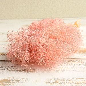 プリザーブドフラワー 花材 即日出荷 ソフトミ...の詳細画像2