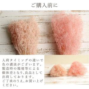 プリザーブドフラワー 花材 即日出荷 ソフトミ...の詳細画像5