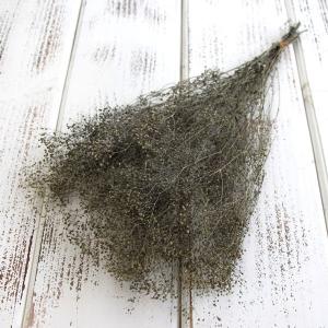 プリザーブドフラワー 花材 即日出荷 ソフトミニ...の商品画像