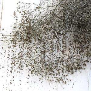 プリザーブドフラワー 花材 即日出荷 ソフトミ...の詳細画像1