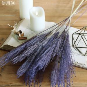 ドライフラワー 花材 即日出荷 ソフトススキ ...の詳細画像5