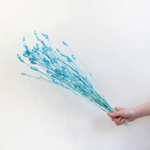 ドライフラワー 花材 即日出荷 フローレンシア...の詳細画像3