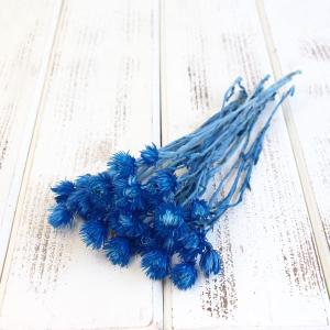 ドライフラワー 花材 即日出荷 シルバーデージー ミニ 海 ドライフラワー スワッグ ブーケ ドライフラワー花束 ドライフラワースワッグ リース 花材 東花