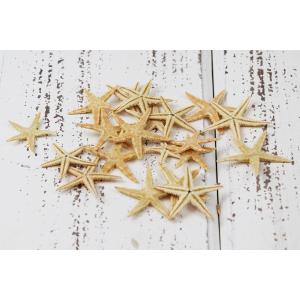 ドライフラワー 花材 即日出荷 東北花材 スターフィッシュ ナチュラル 砂 貝 スワッグ リース アレンジ 花材 素材 材料 花 パーツ 装飾 Tka 造花ドライフラワー専門問屋花びし 通販 Yahoo ショッピング