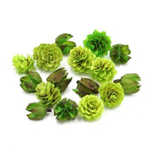 ドライフラワー 花材 出荷 FM木の実アソート 2種アソート(80703)