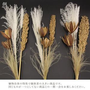 ドライフラワー 花材 即日出荷 FMワイルドリ...の詳細画像3