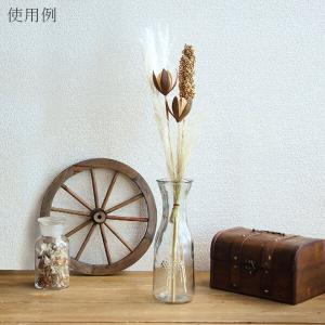 ドライフラワー 花材 即日出荷 FMワイルドリ...の詳細画像4
