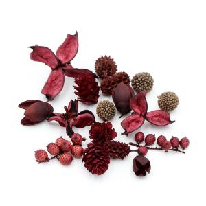 ドライフラワー 花材 即日出荷 FM木の実アソート 6種アソート ボルドー 小分け 少量 花材 素材 材料 パーツ ワインレッド 赤 実 ドライフラワー 花束 東花