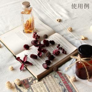ドライフラワー 花材 即日出荷 FM木の実アソ...の詳細画像3