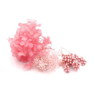 《 プリザーブドフラワー 花材 》出荷東花 FMフラワーアソート