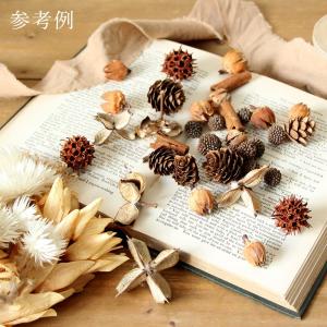 ドライフラワー 花材 即日出荷 FM木の実アソ...の詳細画像3