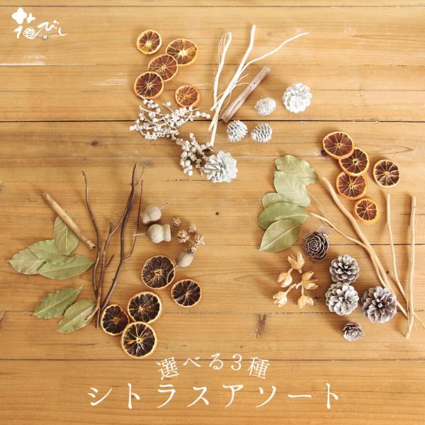ドライフラワー 花材 即日出荷 FMシトラスアソート 花材 素材 材料 パーツ 木の実 少量 アソー...