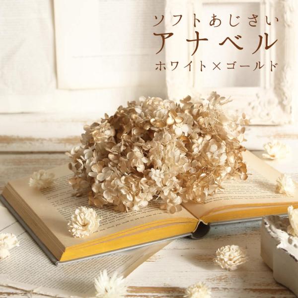 プリザーブドフラワー 花材 即日出荷 ソフトあじさいアナベル ドライフラワー 花材 素材 材料 パー...