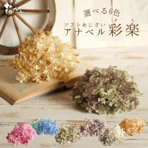 プリザーブドフラワー 花材 即日出荷 ソフトあじさいアナベル