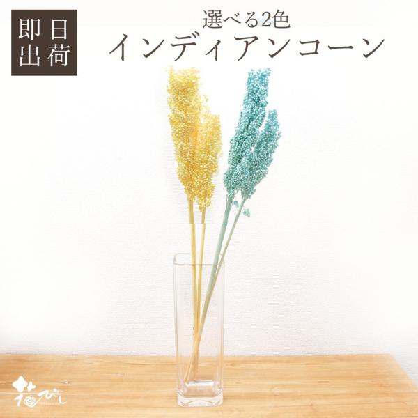 ドライフラワー 花材 即日出荷 インディアンコーン 花材 素材 材料 パーツ ソルゴ イエロー ブル...