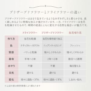 プリザーブドフラワー プレゼント 即日出荷 写...の詳細画像5
