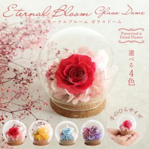 プリザーブドフラワー 造花 プレゼント 即日出荷 ガラスドーム ガラスドーム ミニ プリザーブドフラワー 小さい 誕生日 敬老 敬老の日 花 造花 退職祝い