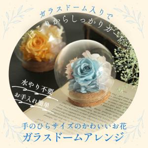 プリザーブドフラワー 造花 プレゼント 即日出...の詳細画像1